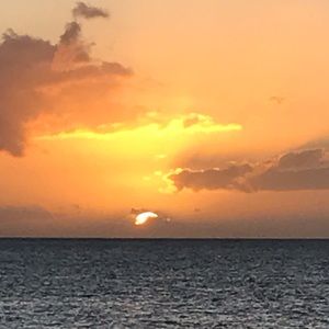 Meet your Posher, Bella